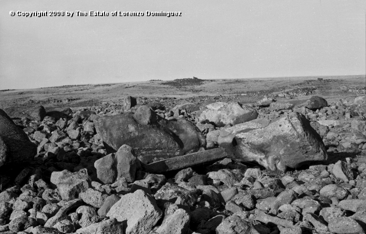 TDM_Vista_General_07.jpg - Easter Island. 1960. Ahu Tongariki. Ruins, moai and rests of pavement. Photograph taken shortly after the destruction of the ahu by the tsunami of May 22, 1960.