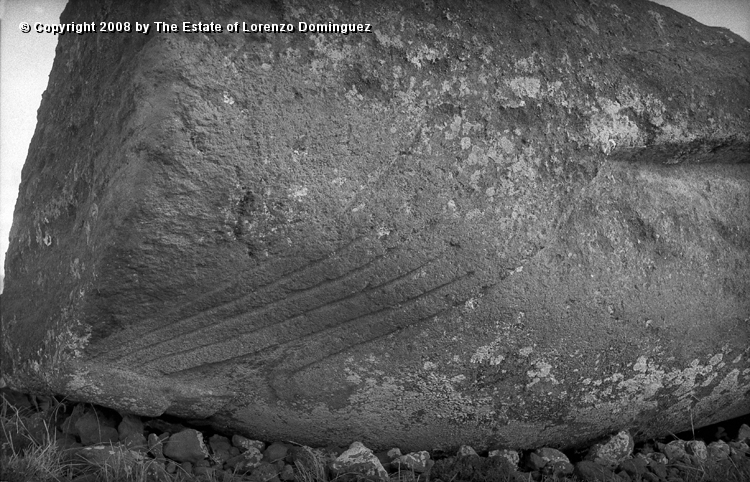 CDM_Mano_04.jpg - Easter Island. 1960. Detail of the hand of a moai on the transport road.