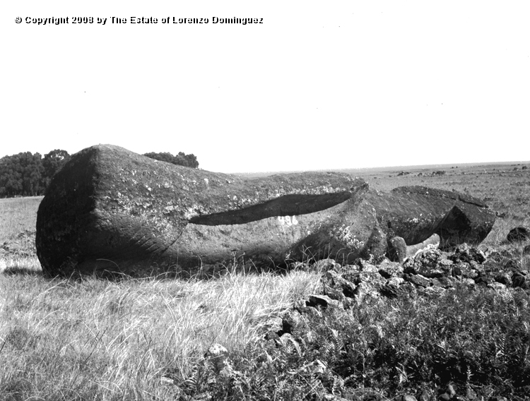 CDM_Moai_02.jpg - Easter Island. 1960. Moai on the transport road.