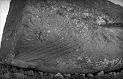 CDM_Mano_04