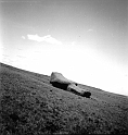 CDM_Moai_01