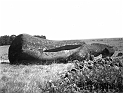 CDM_Moai_02