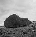 CDM_Moai_03