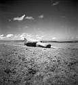CDM_Moai_04