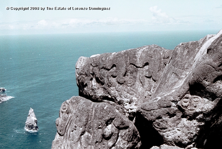 ORO_003.jpg - Easter Island. 1960. Orongo. Petroglyphs representing birdmen and makemake.