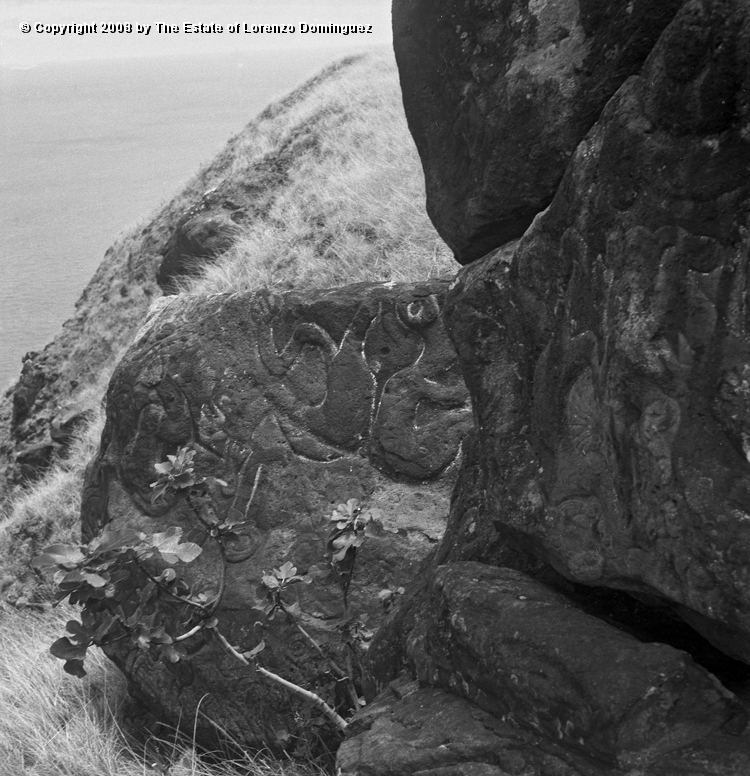 ORO_018.jpg - Easter Island. 1960. Orongo. Petroglyphs on the cliffs, including one that supposedly represents the sun.