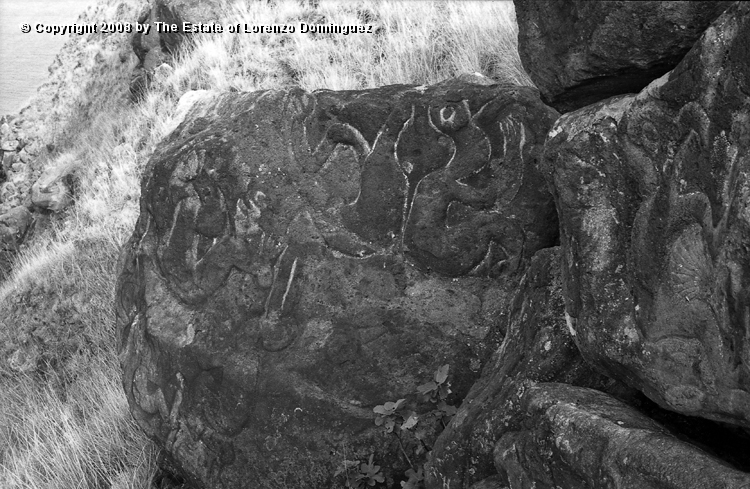ORO_021.jpg - Easter Island. 1960. Orongo. Rocks on the cliffs with petroglyphs representing birdmen.