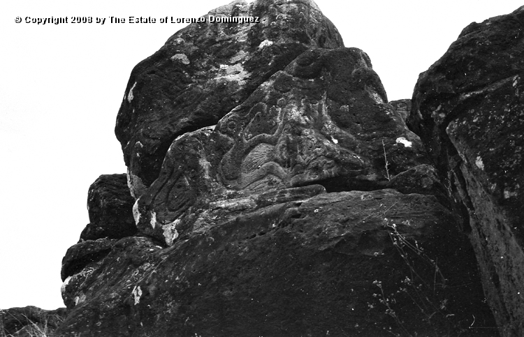 ORO_022.jpg - Easter Island. 1960. Orongo. Rocks on the cliffs with petroglyphs, including one  supposedly representing the sun.
