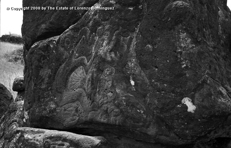 ORO_025.jpg - Easter Island. 1960. Orongo. Rocks with petroglyphs representing birdmen.