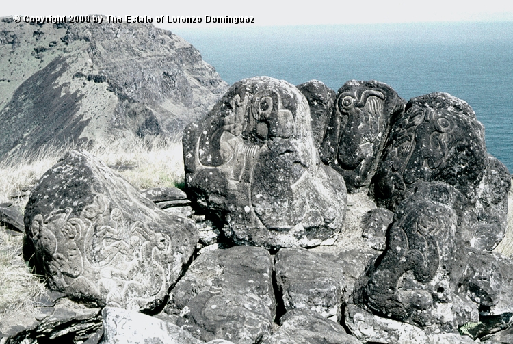 ORO_030.jpg - Easter Island. 1960. Orongo. Rocks on the cliffs with petroglyphs representing birdmen.