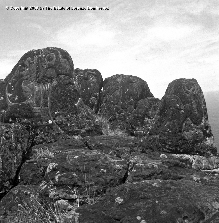 ORO_033.jpg - Easter Island. 1960. Orongo. Rocks on the cliffs with petroglyphs representing birdmen.
