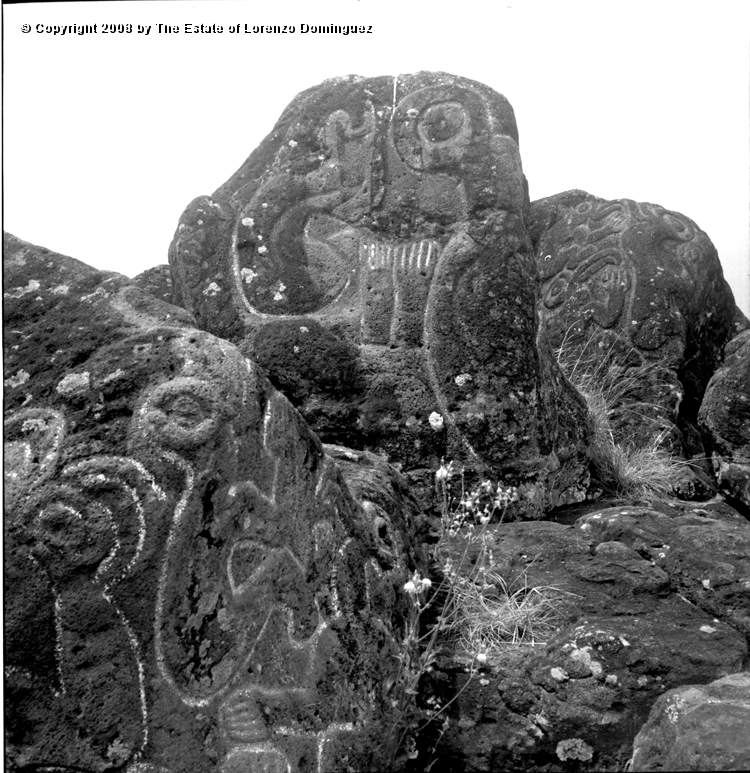 ORO_035.jpg - Easter Island. 1960. Orongo. Rocks on the cliffs with petroglyphs representing birdmen.