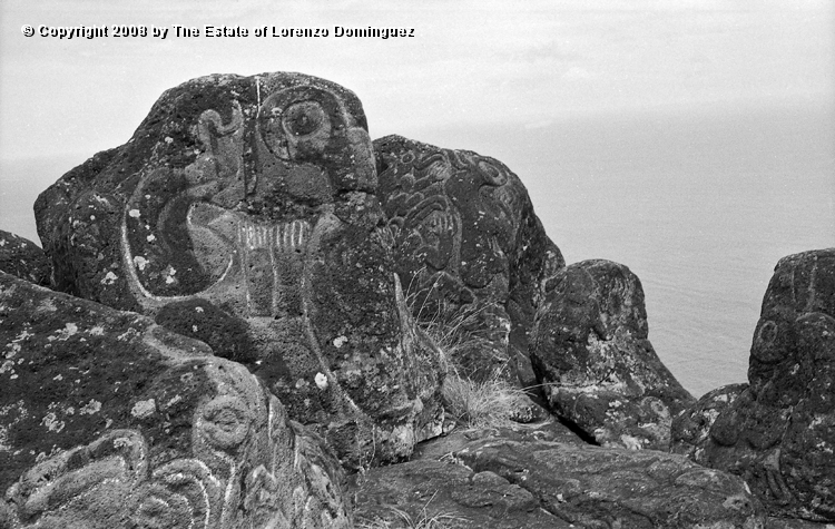 ORO_036.jpg - Easter Island. 1960. Orongo. Rocks on the cliffs with petroglyphs representing birdmen.