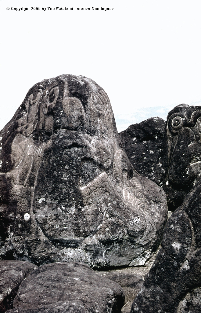 ORO_038.jpg - Easter Island. 1960. Orongo. Rocks on the cliffs with petroglyphs representing birdmen.