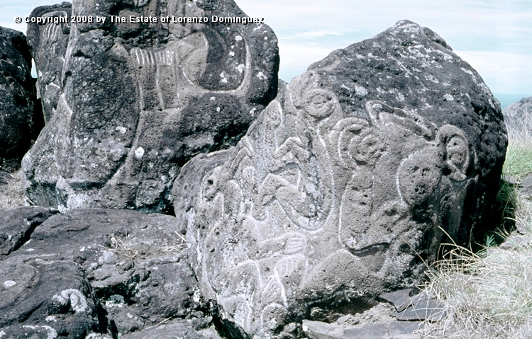 ORO_039.jpg - Easter Island. 1960. Orongo. Rocks on the cliffs with petroglyphs representing birdmen.