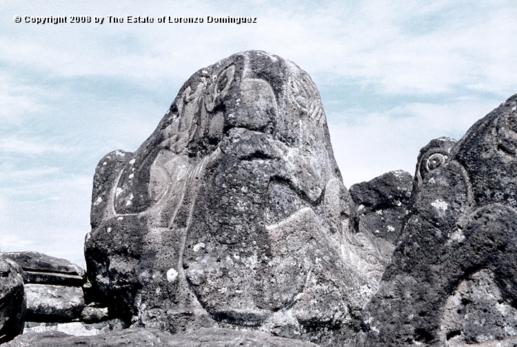 ORO_040.jpg - Easter Island. 1960. Orongo. Rocks on the cliffs with petroglyphs representing birdmen and makemake.
