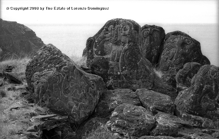 ORO_041.jpg - Easter Island. 1960. Orongo. Petroglyphs representing birdmen, make make, and komari. At the bottom left is the entrance to a cave covered with stone slabs.