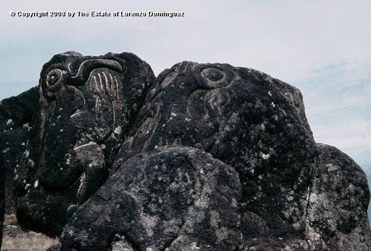 ORO_042.jpg - Easter Island. 1960. Orongo. Rocks on the cliffs with petroglyphs representing birdmen.