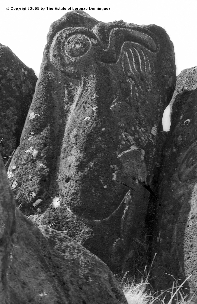 ORO_043.jpg - Easter Island. 1960. Orongo. Rocks on the cliffs with petroglyphs representing birdmen.