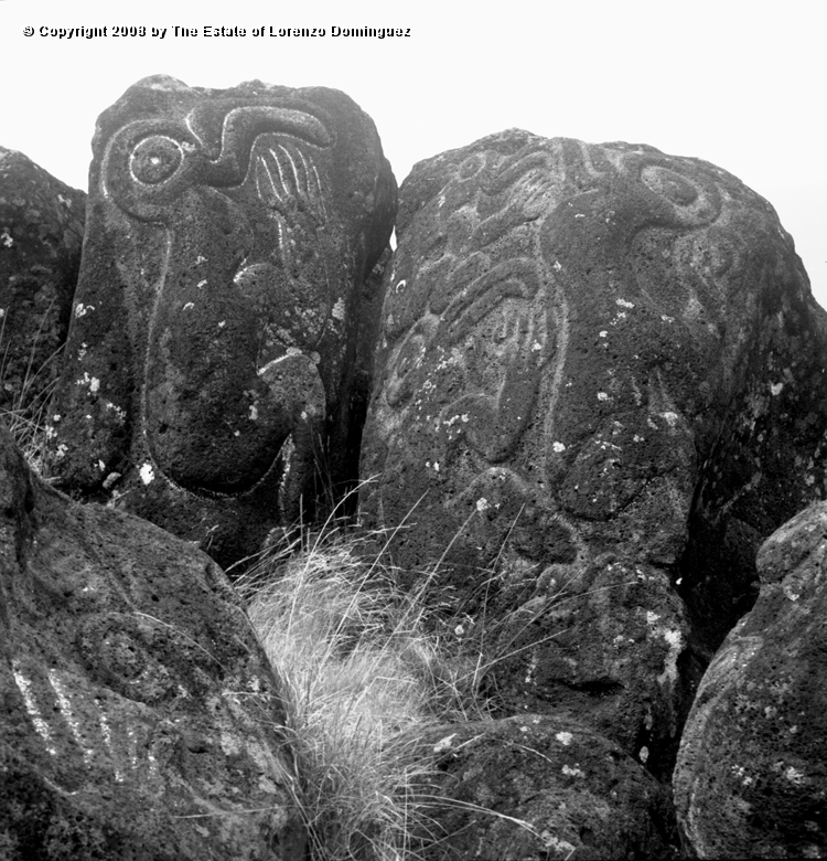 ORO_045.jpg - Easter Island. 1960. Orongo. Rocks  with petroglyphs representing birdmen.