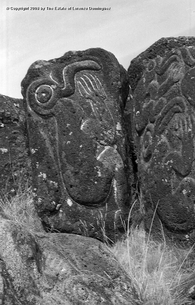ORO_046.jpg - Easter Island. 1960. Orongo. Rocks on the cliffs with petroglyphs representing birdmen.