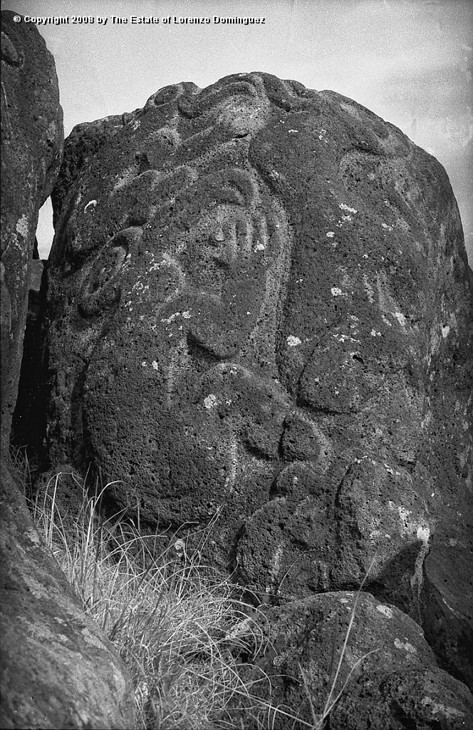ORO_050.jpg - Easter Island. 1960. Orongo. Rocks on the cliffs with petroglyphs representing birdmen.