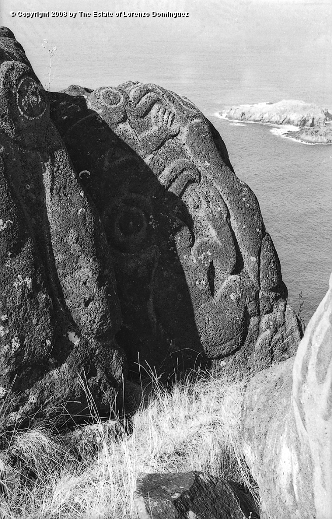 ORO_051.jpg - Easter Island. 1960. Orongo. Rocks on the cliffs with petroglyphs representing birdmen.