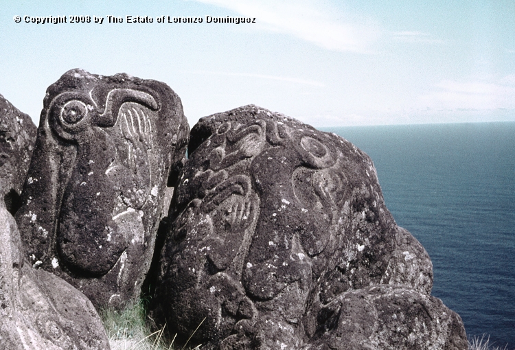 ORO_052.jpg - Easter Island. 1960. Orongo. Rocks on the cliffs with petroglyphs representing birdmen.