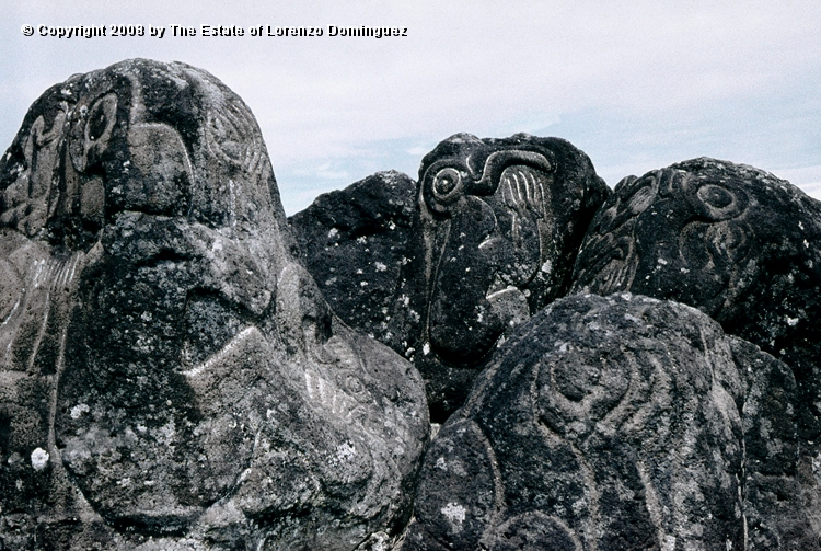 ORO_053.jpg - Easter Island. 1960. Orongo. Rocks on the cliffs with petroglyphs representing birdmen and makemake.