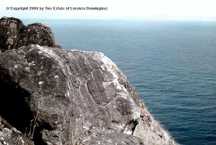 ORO_054.jpg - Easter Island. 1960. Orongo. Rocks on the cliffs with petroglyphs representing birdmen.