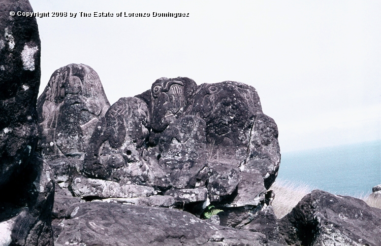 ORO_056.jpg - Easter Island. 1960. Orongo. Rocks on the cliffs with petroglyphs representing birdmen.