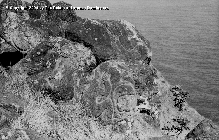 ORO_059.jpg - Easter Island. 1960. Orongo. Rocks on the cliffs with petroglyphs representing birdmen and makemake.