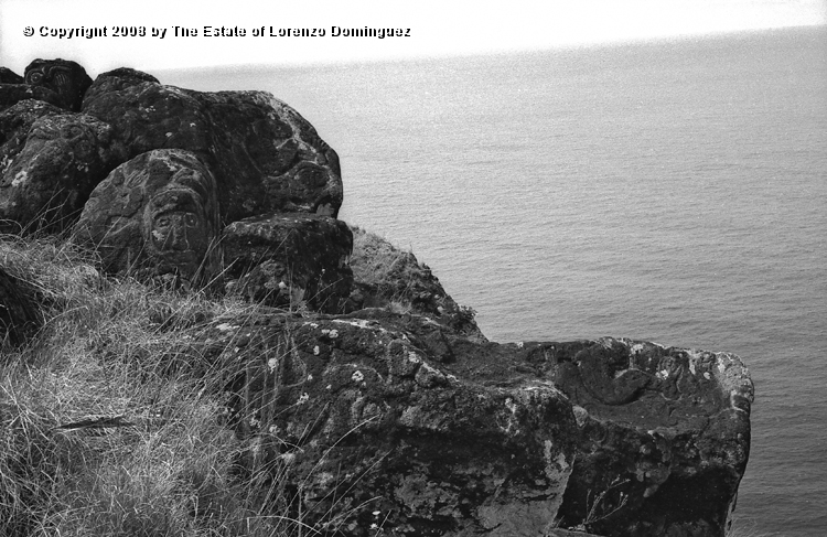 ORO_060.jpg - Easter Island. 1960. Orongo. Rocks on the cliffs with petroglyphs representing birdmen.