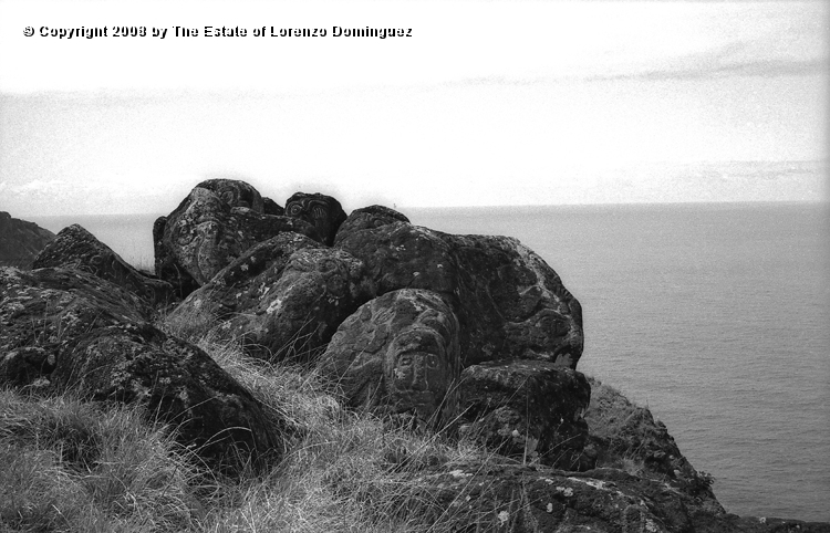 ORO_061.jpg - Easter Island. 1960. Orongo. Petroglyphs representing birdmen make make and komari.