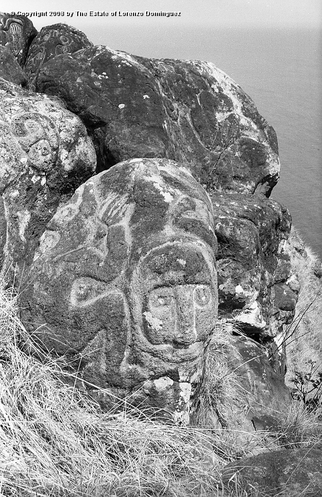 ORO_062.jpg - Easter Island. 1960. Orongo. Rocks on the cliffs with petroglyphs representing birdmen and makemake.
