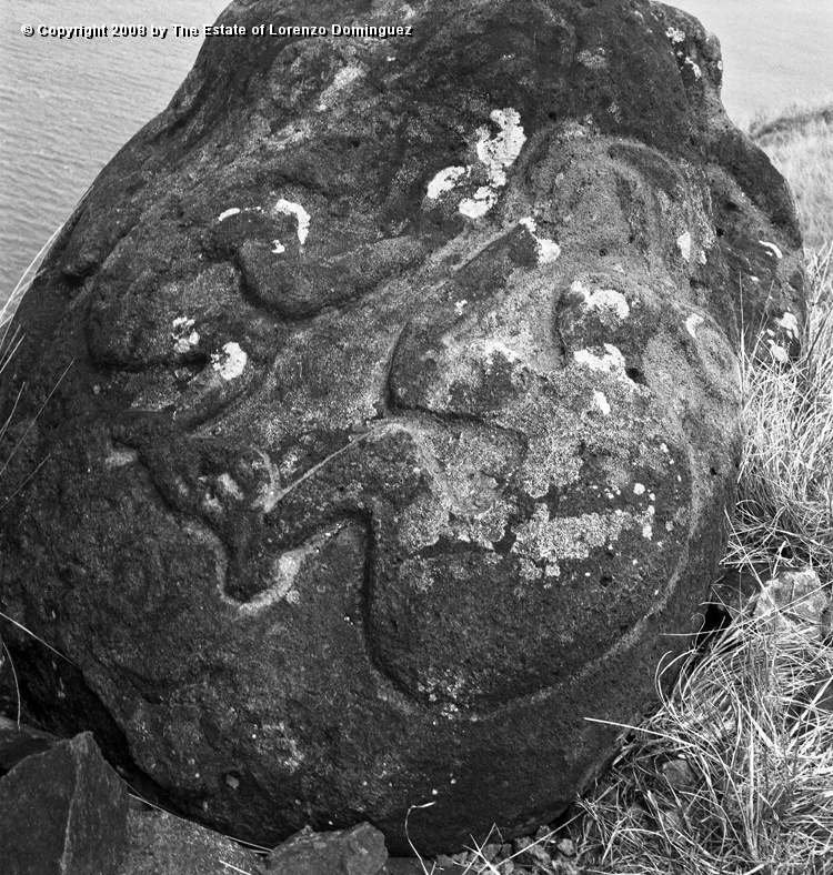 ORO_063.jpg - Easter Island. 1960. Orongo. Rocks with petroglyphs representing birdmen.
