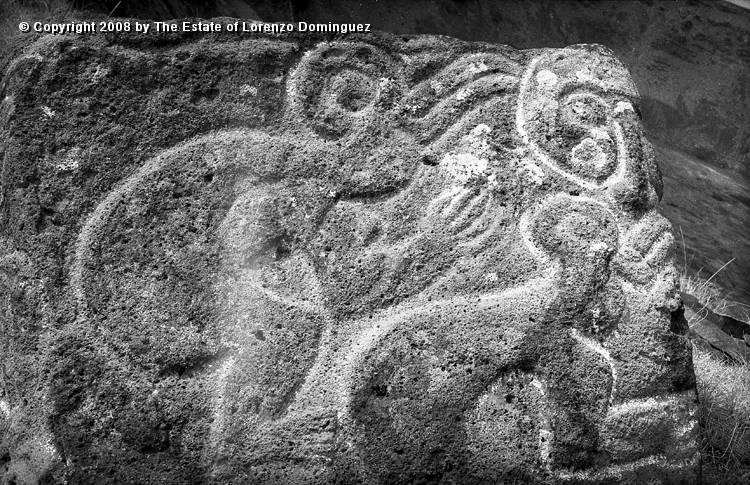 ORO_067.jpg - Easter Island. 1960. Orongo. Rocks with petroglyphs representing birdmen and makemake.