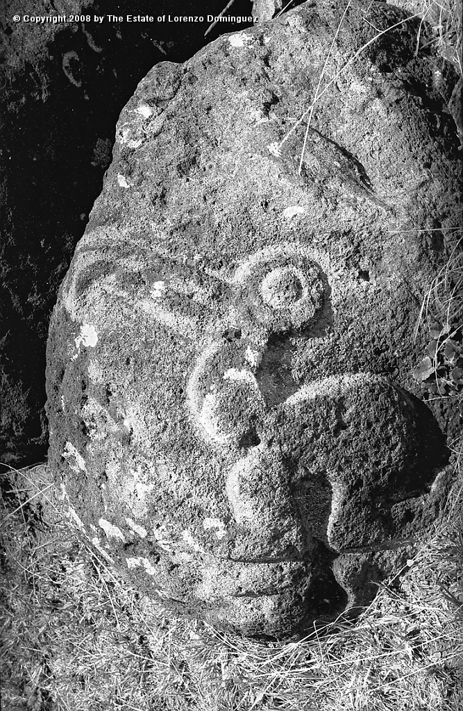 ORO_068.jpg - Easter Island. 1960. Orongo. Rocks on the cliffs with petroglyphs representing birdmen.