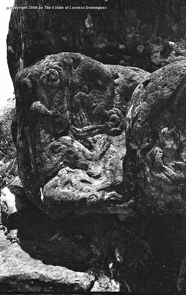 ORO_069.jpg - Easter Island. 1960. Orongo. Rocks with petroglyphs representing birdmen.