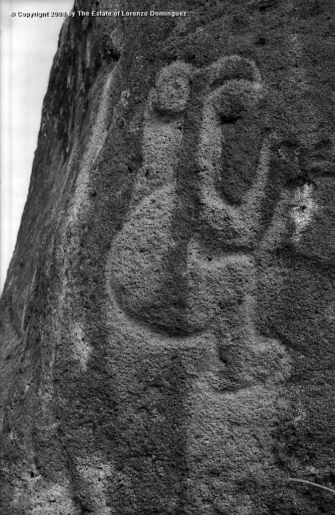ORO_070.jpg - Easter Island. 1960. Orongo. Rocks on the cliffs with petroglyphs representing birdmen.
