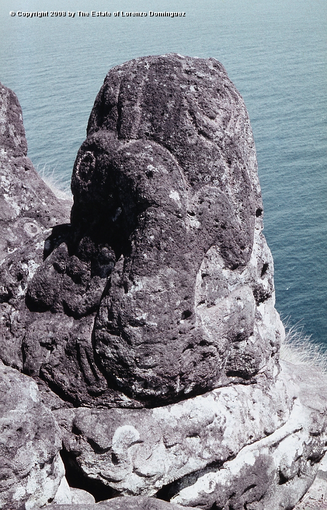 ORO_074.jpg - Easter Island. 1960. Orongo. Rocks on the cliffs with petroglyphs representing birdmen.