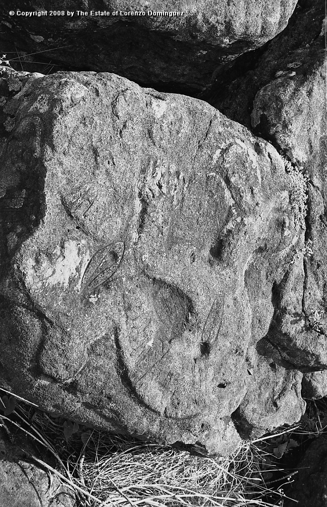 ORO_077.jpg - Easter Island. 1960. Orongo. Rockswith petroglyphs representing birdmen.