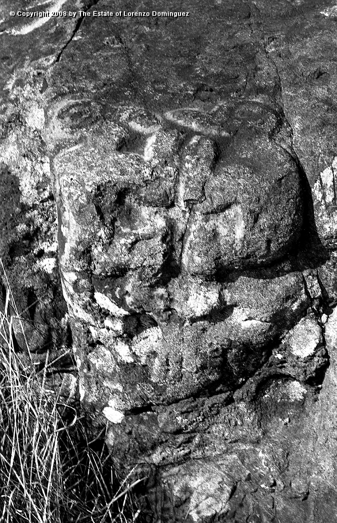 ORO_078.jpg - Easter Island. 1960. Orongo. Rocks with petroglyphs representing birdmen.