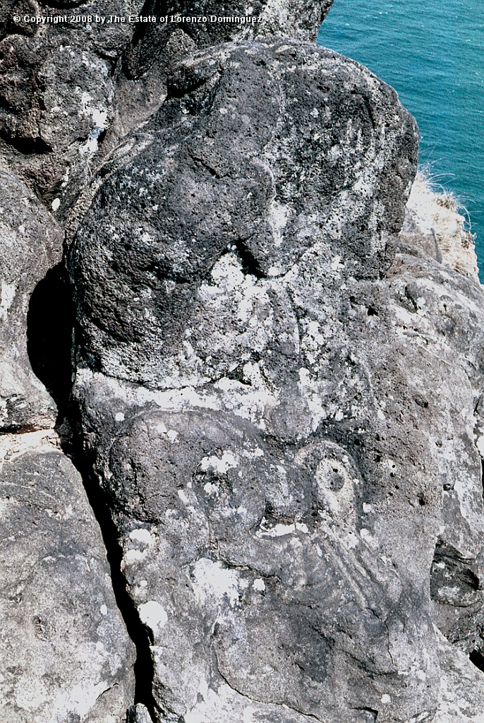 ORO_079.jpg - Easter Island. 1960. Orongo. Rocks on the cliffs with petroglyphs representing birdmen.