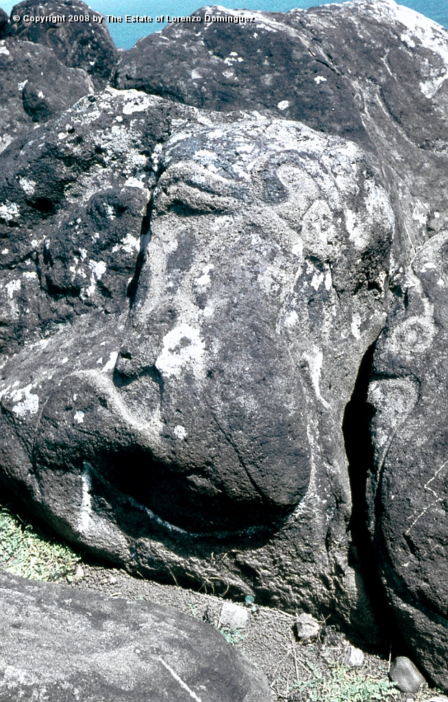 ORO_080.jpg - Easter Island. 1960. Orongo. Rocks on the cliffs with petroglyphs representing birdmen.