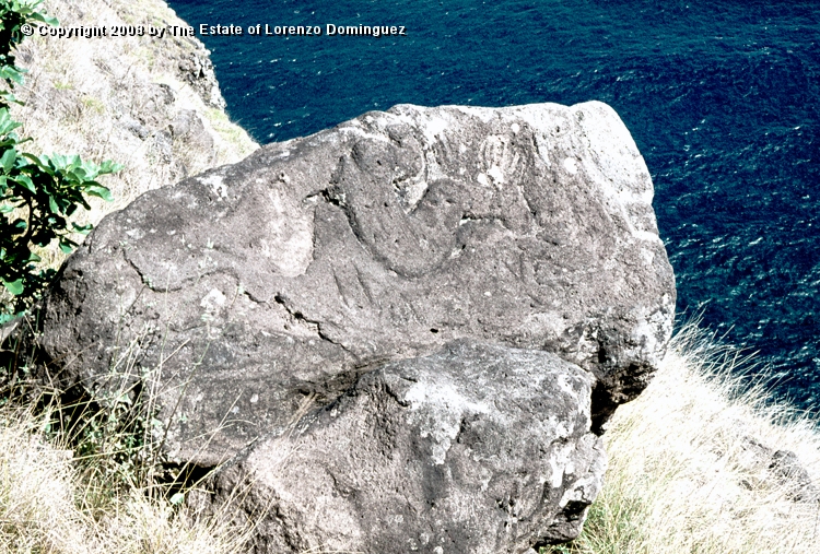 ORO_081.jpg - Easter Island. 1960. Orongo. Rocks on the cliffs with petroglyphs representing birdmen.