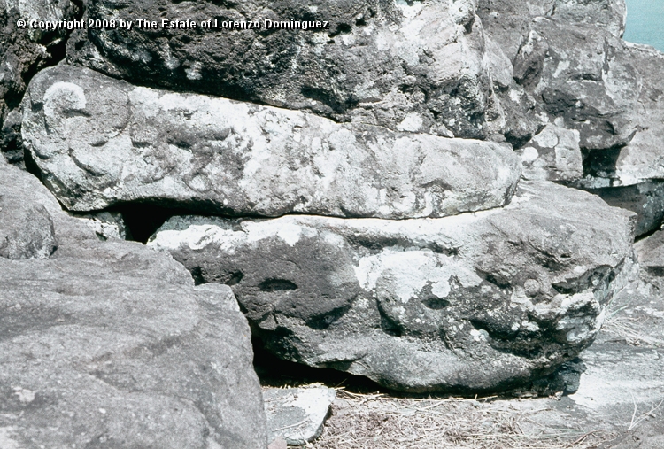 ORO_082.jpg - Easter Island. 1960. Orongo. Rocks on the cliffs with petroglyphs representing birdmen.