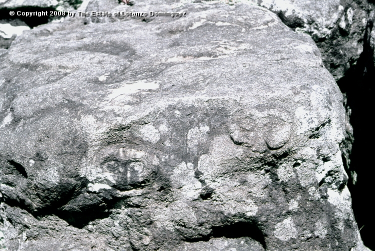 ORO_083.jpg - Easter Island. 1960. Orongo. Petroglyphs representing birdmen and makemake.