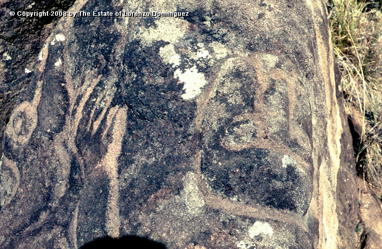 ORO_084.jpg - Easter Island. 1960. Orongo. Rocks on the cliffs with petroglyphs representing birdmen.