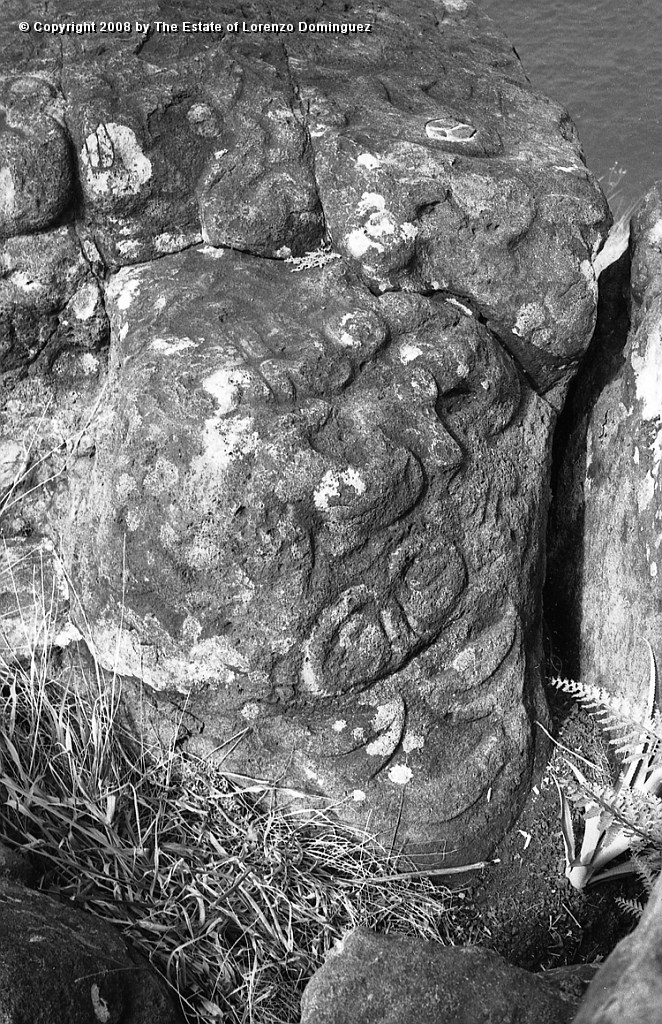 ORO_085.jpg - Easter Island. 1960. Orongo. Petroglyphs. Makemake. Lorenzo Dominguez made a note indicating he had drawn the motif at the bottom. See Catalog MM16.